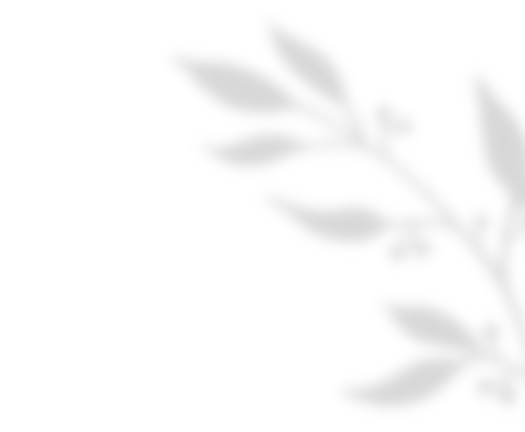 https://gefuehlvolleredekunst.de/wp-content/uploads/2020/11/shadow_leaves_01.png