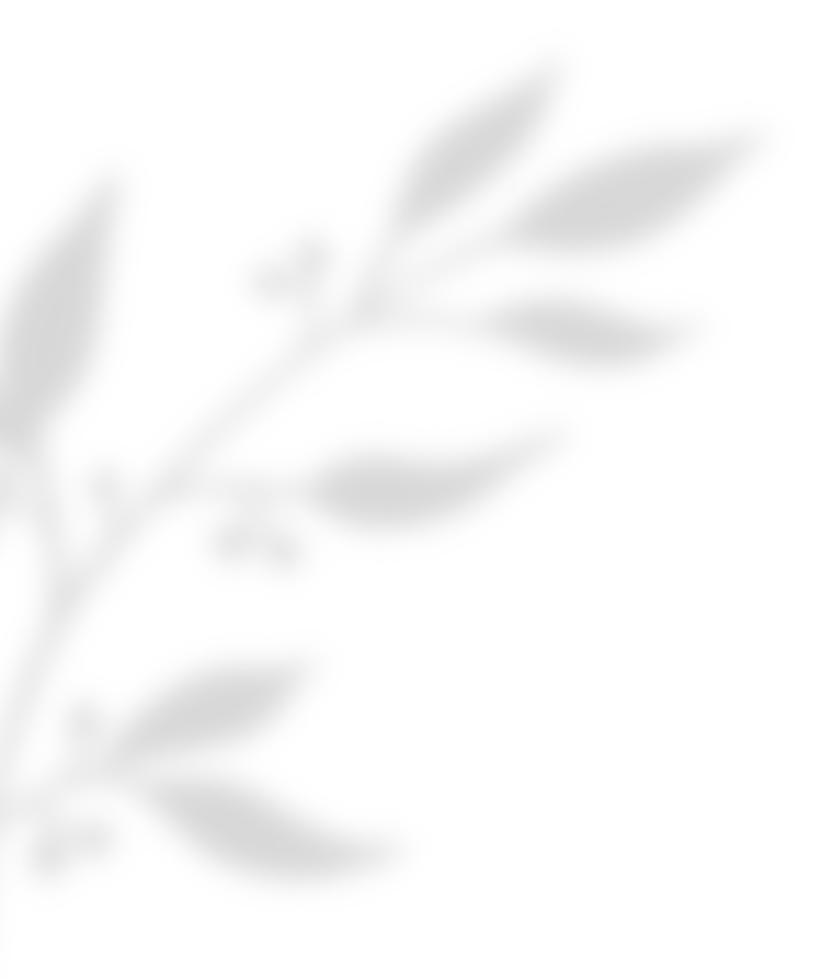 https://gefuehlvolleredekunst.de/wp-content/uploads/2020/11/shadow_leaves_02.png